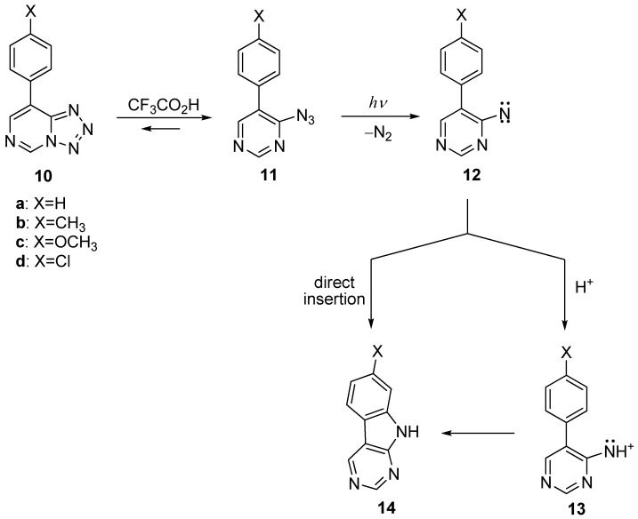 Scheme 2