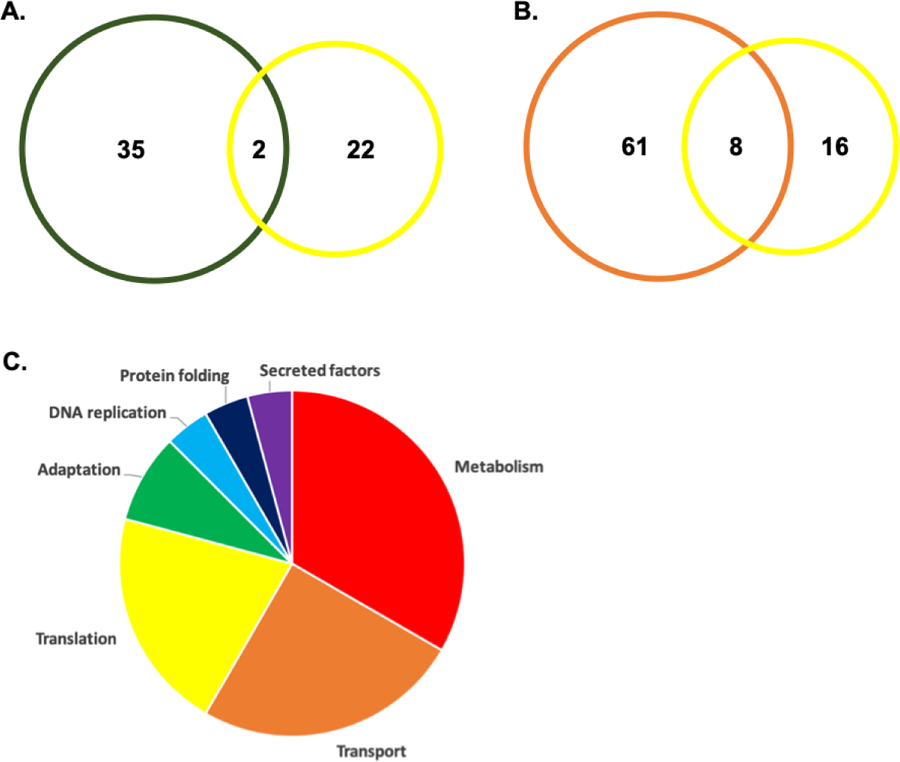 Figure 5: