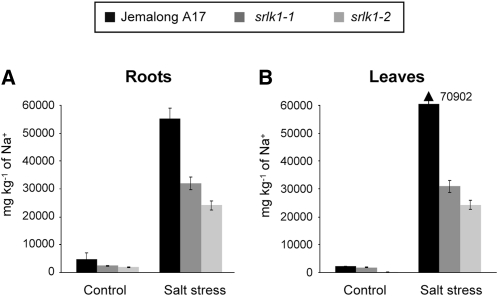 Figure 6.