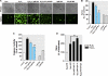 FIGURE 12.