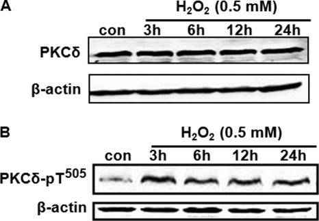 FIGURE 11.