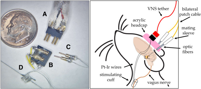 Figure 4.