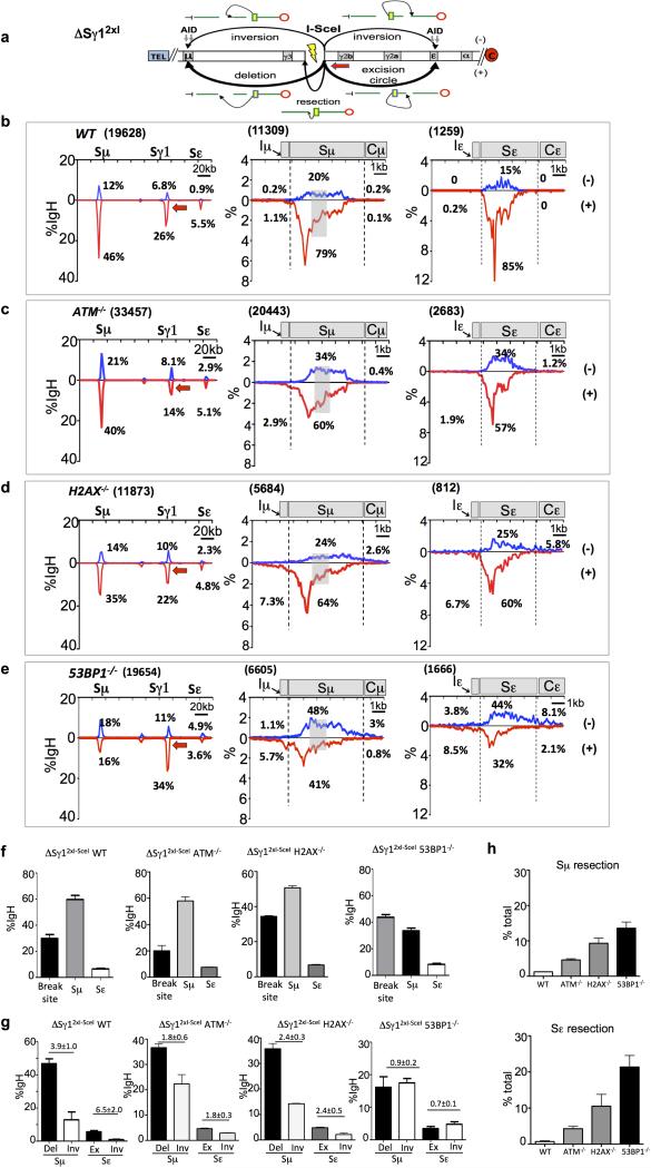 Extended Data Figure 8