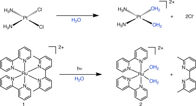 Scheme 1