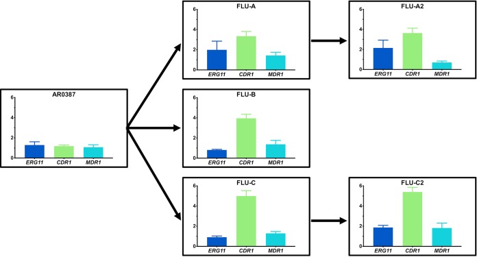 FIG 7