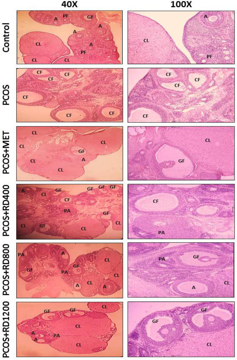 Fig. 6