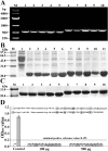 Fig. S4