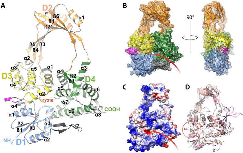 Figure 2.