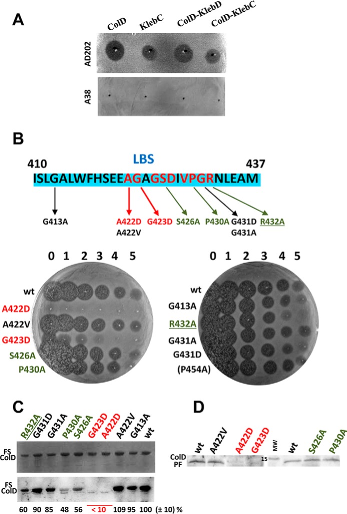 FIGURE 5.