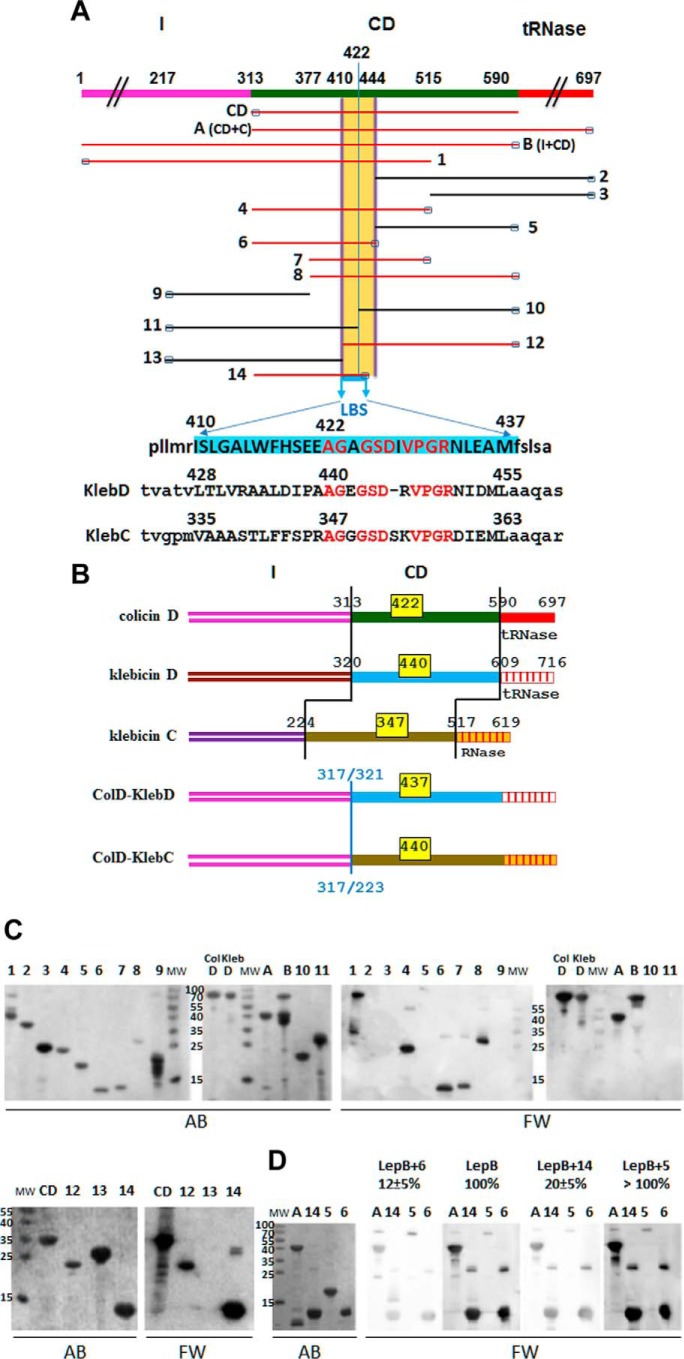 FIGURE 4.