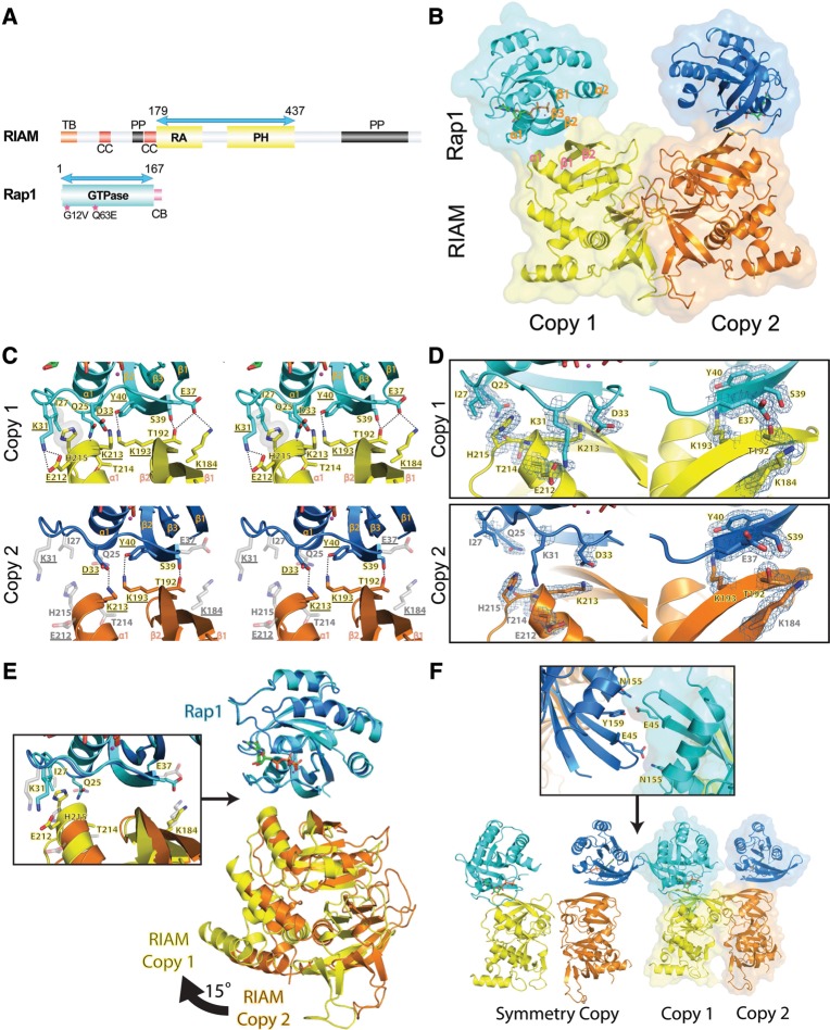 Figure 1