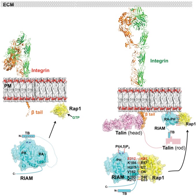 Figure 5