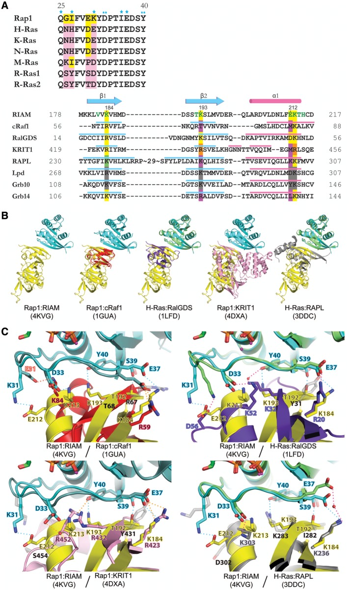 Figure 2