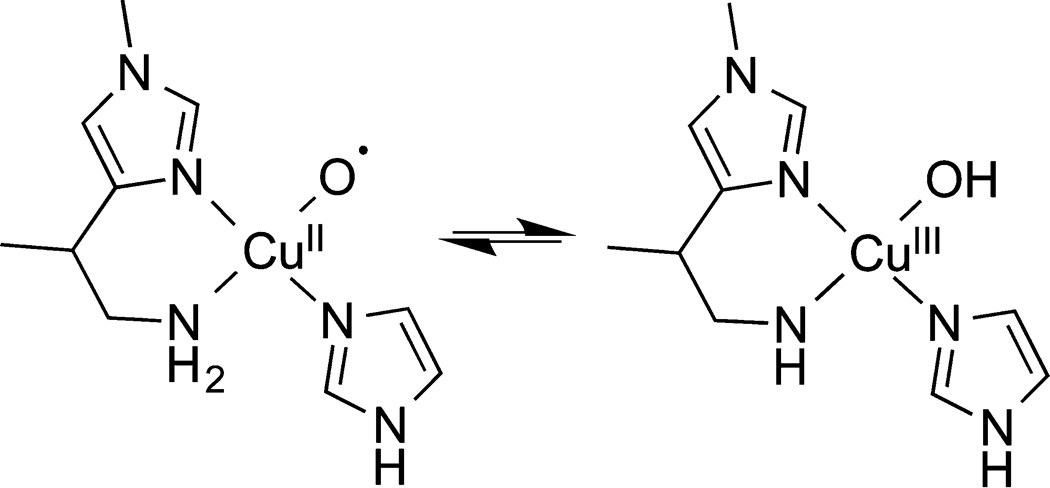 Scheme 8