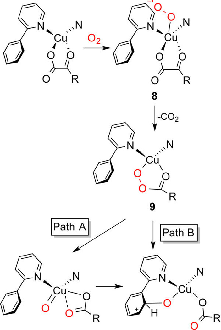 Scheme 5