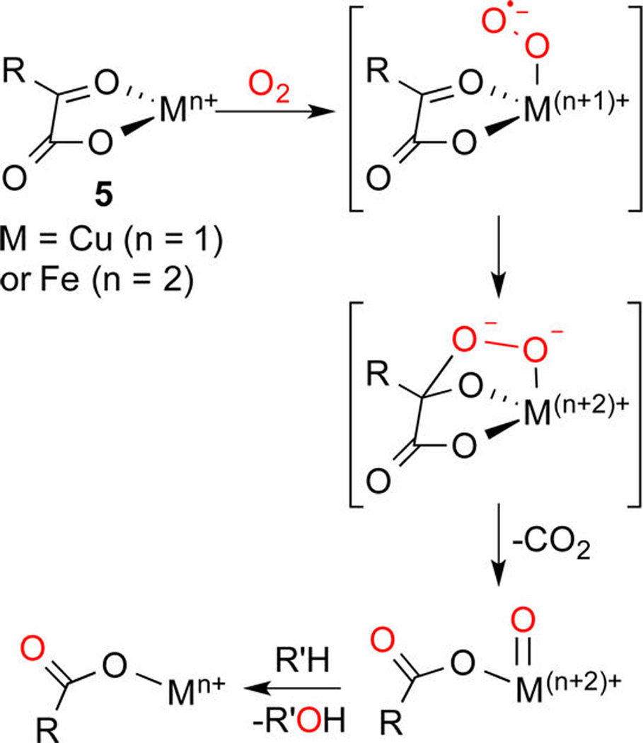 Scheme 2