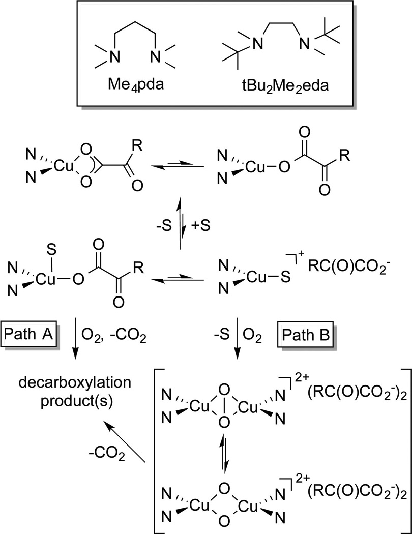 Scheme 3