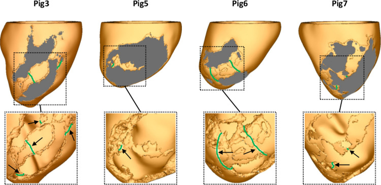 Fig. 11