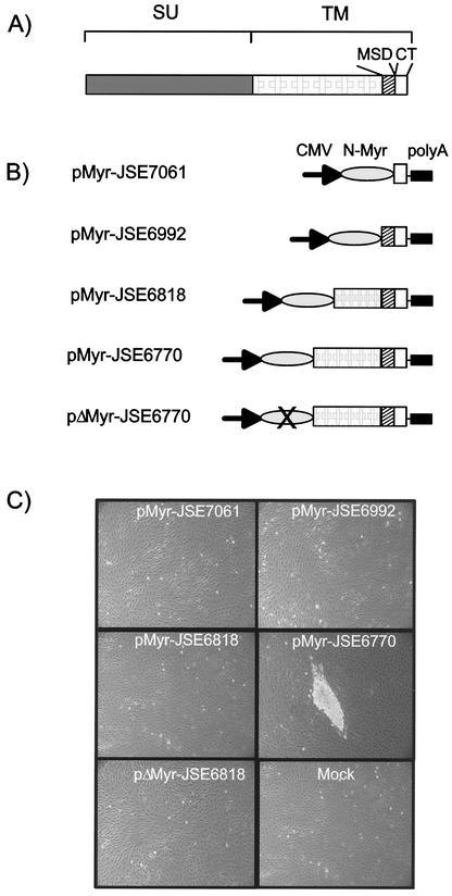 FIG. 6.