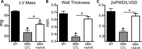 Figure 1.