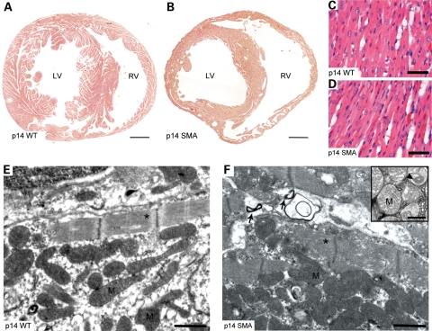 Figure 4.