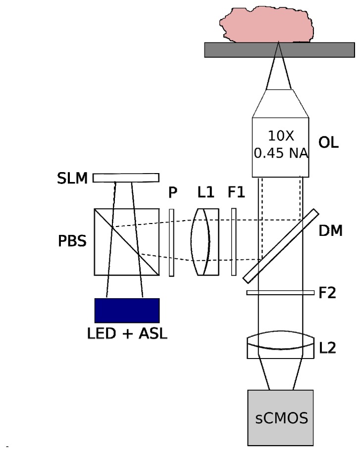 Fig. 1