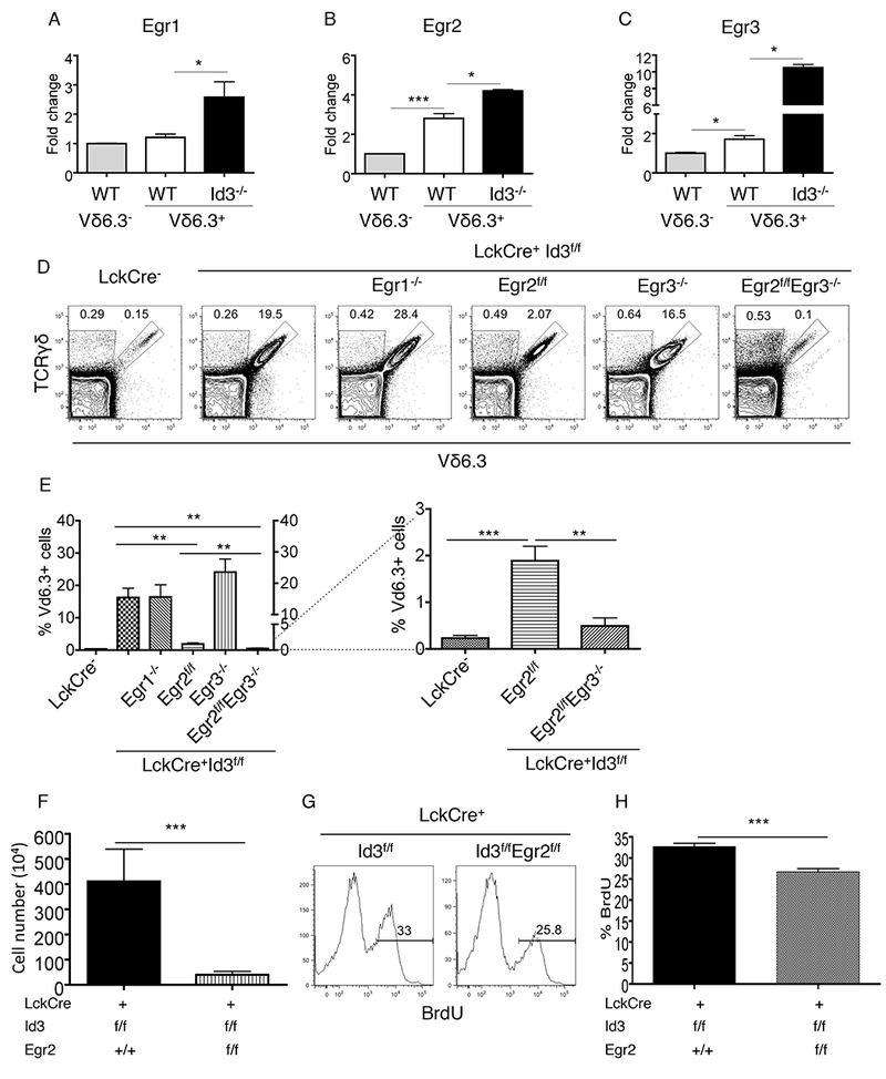 Fig.1