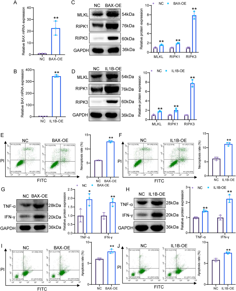 Fig. 14