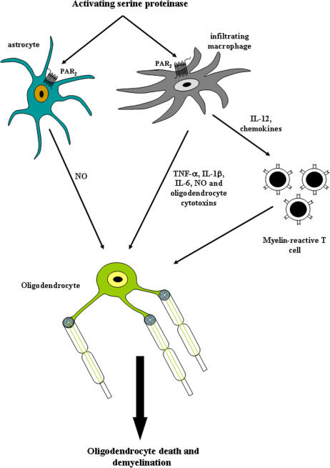 Figure 9.