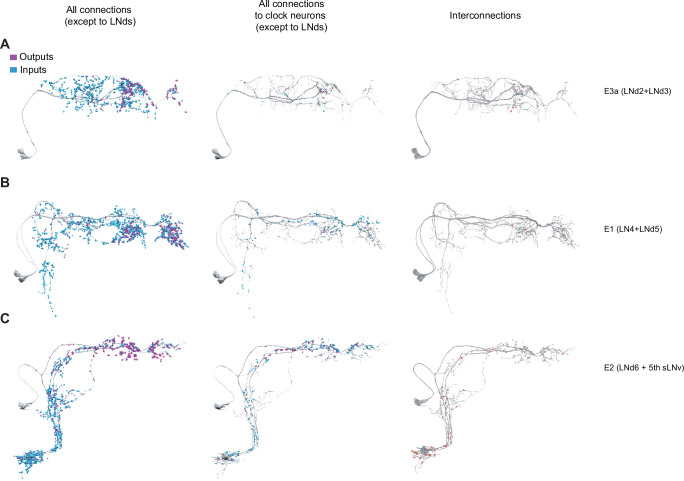 Figure 3—figure supplement 2.