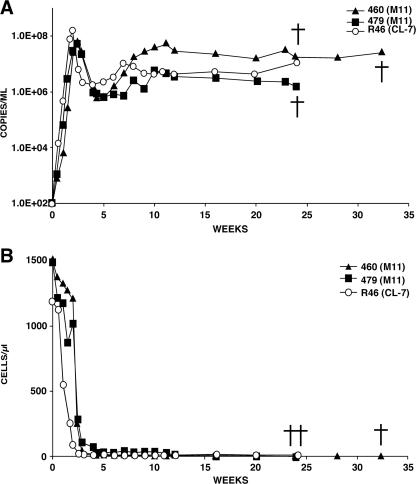 FIG. 4.