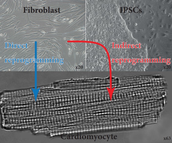 Figure 6.