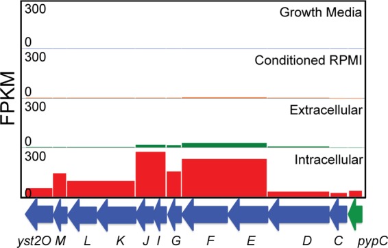 FIG 9