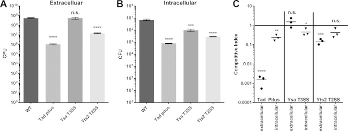 FIG 10