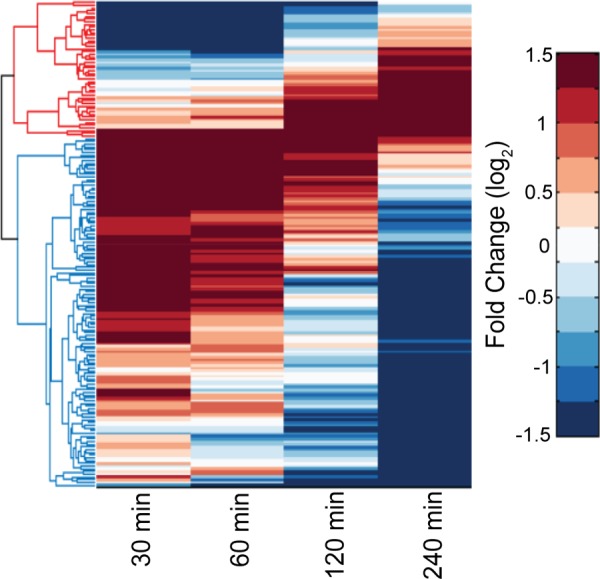 FIG 6