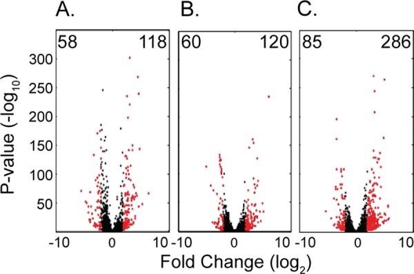 FIG 3