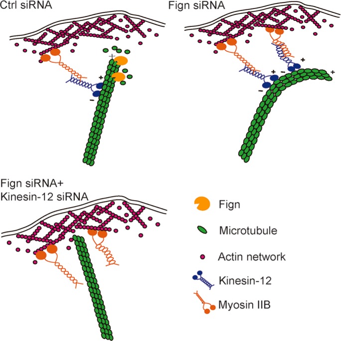 FIGURE 6: