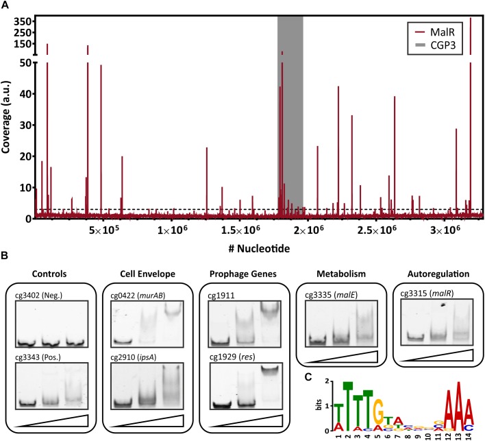 FIGURE 2