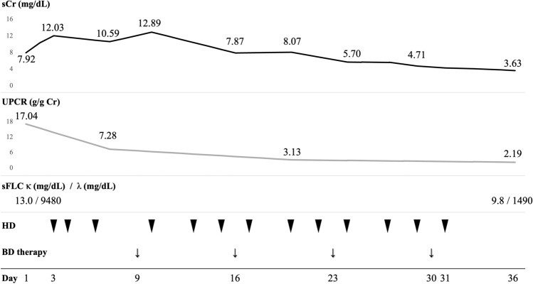 Fig. 4