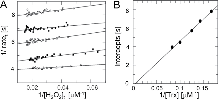 Fig. 5.