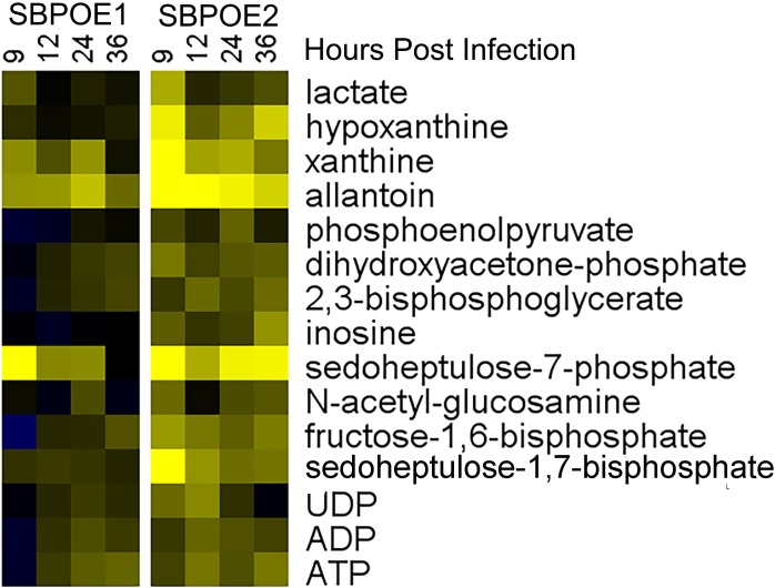 Fig 9