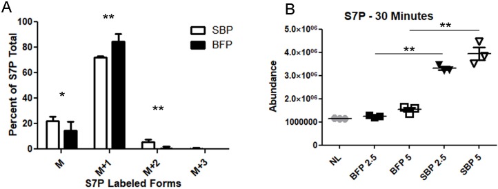 Fig 6