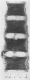564