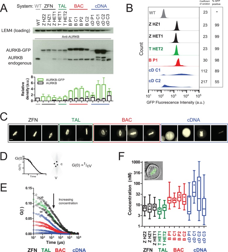 FIGURE 2: