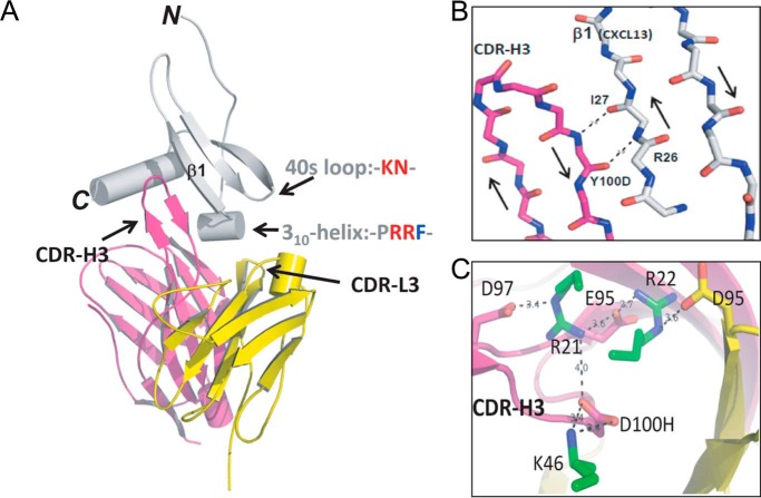 FIGURE 2.