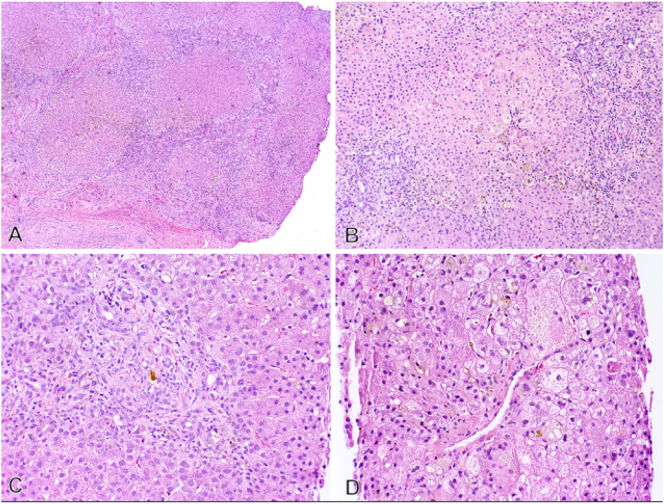 Fig. 3