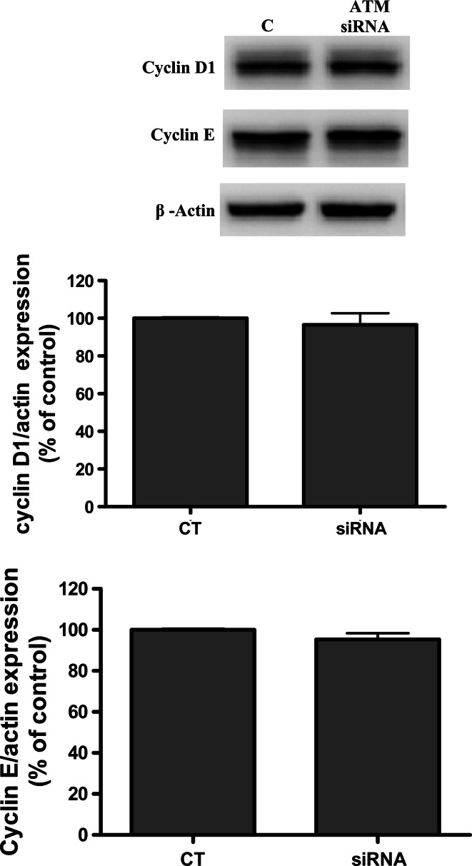 Fig. 10