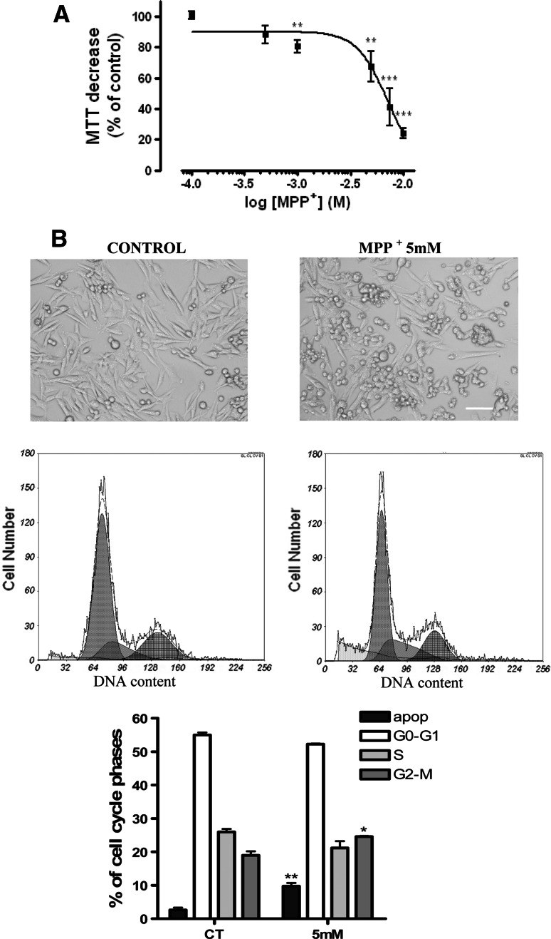 Fig. 7