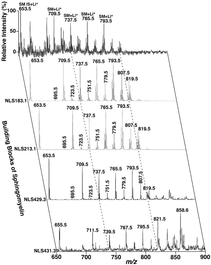 Fig. 11