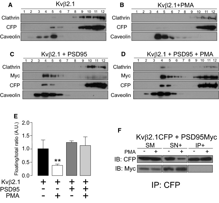 Fig. 9